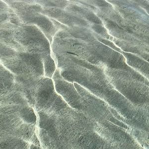 Meet your Posher, Ahysha